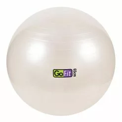GoFit Stability Ball