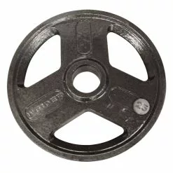 Weider 25-lb. Olympic Plate