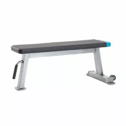 ProForm Flat Workout Bench