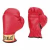Everlast Youth's Boxing Gloves