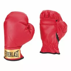 Everlast Youth's Boxing Gloves